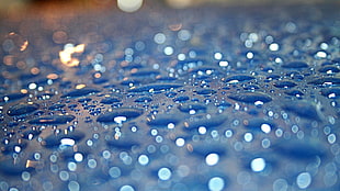 selective photography of water drop HD wallpaper