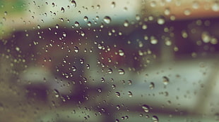 rain, glass HD wallpaper