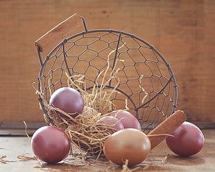 seven cream eggs on gray mesh basket HD wallpaper