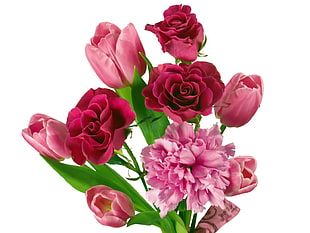 pink and red flowers HD wallpaper