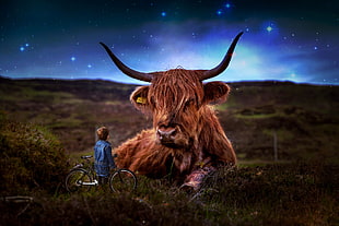 photo of boy in blue jacket holding bicycle