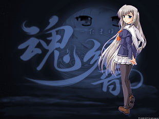 gray haired anime poster HD wallpaper