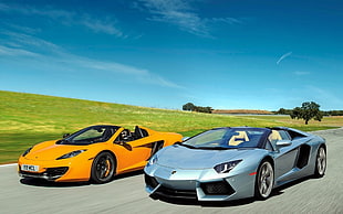 two Lamborghini convertible coupes parked near greenfield with blue sky background HD wallpaper