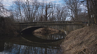 gray concrete bridge, bridge, water HD wallpaper