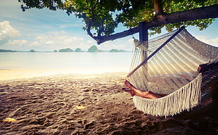 white hammock, trees, hammocks, beach, landscape HD wallpaper