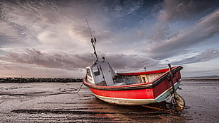 red and white speedboat, sea, boat, sky, vehicle HD wallpaper