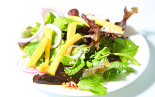 vegetable salad HD wallpaper