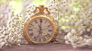 selective focus photography of gold-colored pocket watch with Eiffel Tower phase surrounded by white flowers HD wallpaper