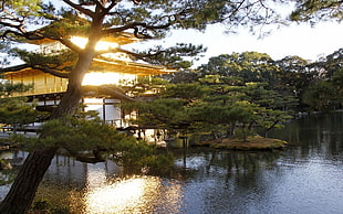 temple near the body of water surrounded by trees