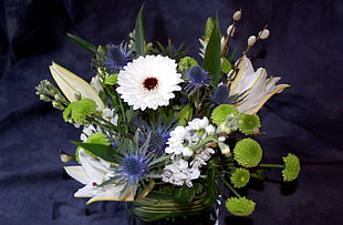 green leaved plant with white flowers