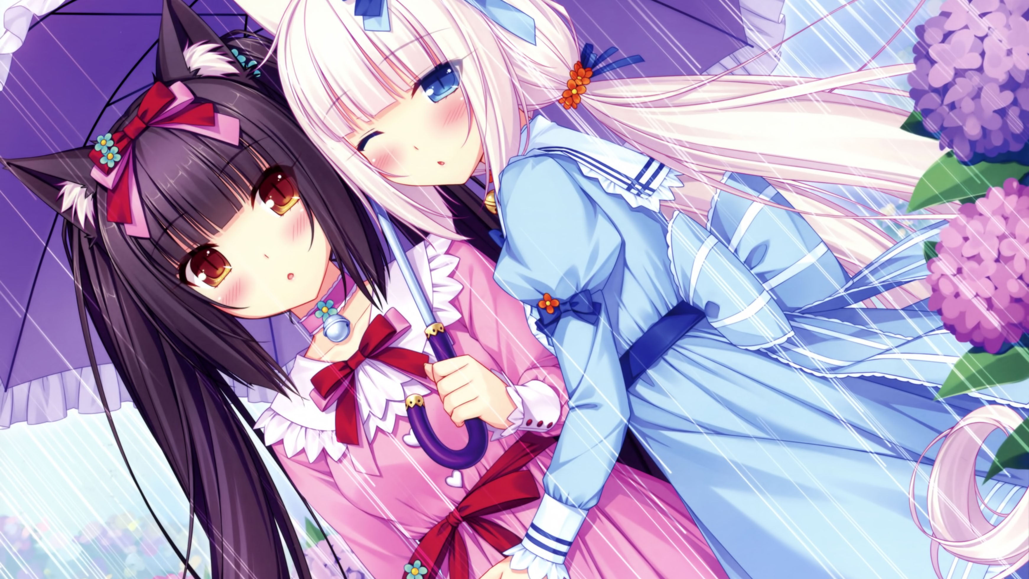 game : nekopara in 2024 | Anime, Art, Character