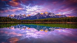 landscape photography of green plants and mountain, lake, mountains, forest, nature