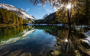 photo of lake near forest at daytime