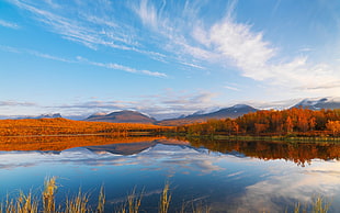 blue and brown mountain painting, nature, landscape