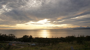 green trees, landscape, sunset, coast, Washington state HD wallpaper