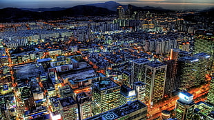aerial photo of city buildings during night time HD wallpaper