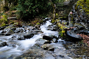 water falls with stones near fern plants