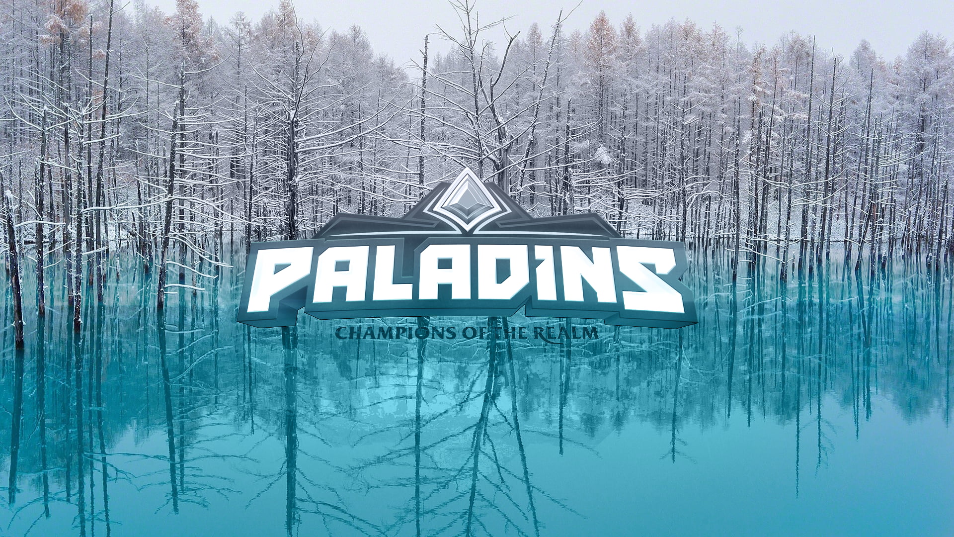 Paladins champions of the Realm logo, Paladin, spes salutis, turquise