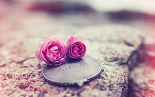 Roses,  Flowers,  Couple,  Medallions