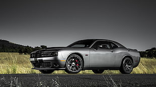 silver coupe, car, Dodge Challenger SRT, Dodge Challenger, Dodge