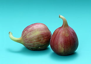 two purple eggplants
