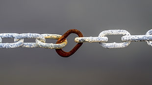 gray and brown chain, metal, chains, rust HD wallpaper