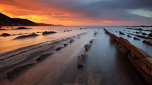 photography of beach during sunset