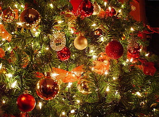 assorted baubles and string lights hanged on christmas tree