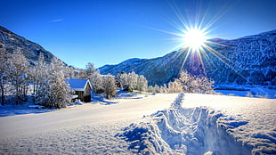 white snow covered field, mountains, forest, snow, rocks