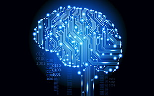 brain system illustration HD wallpaper