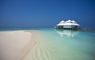 white and brown beach cottage, beach, waterfront, Maldives, nature