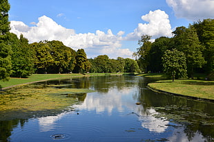 calm river surrounded with trees and lush vegetation HD wallpaper