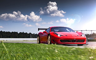 red Ferrari Speciale running on road during daytime HD wallpaper