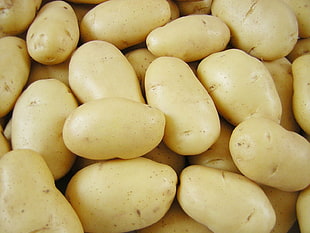 close-up photo of bunch of potatoes HD wallpaper