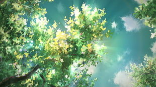 green trees painting, anime, 5 Centimeters Per Second HD wallpaper