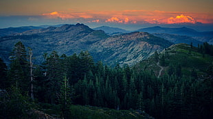 mountains, landscape, nature, forest, plateau