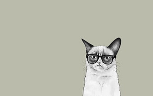 grumpy cat illustration, minimalism HD wallpaper