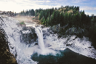 waterfalls and green pine trees, nature, water, forest