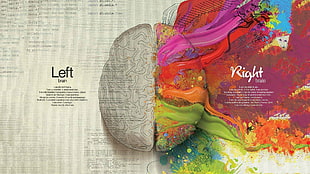 brain illustration HD wallpaper