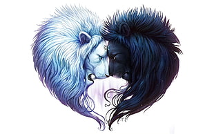 heart shaped of two white and black Lion heads HD wallpaper