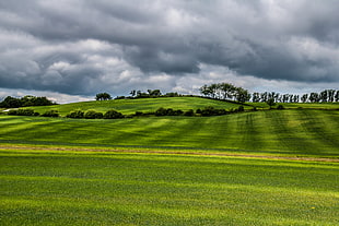 landscape photo of green field under cloudy sky HD wallpaper