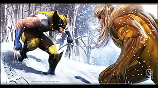 Wolverine and Sabertooth HD wallpaper