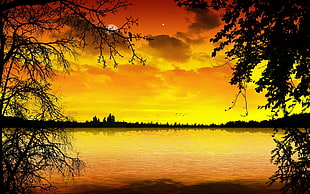 Lake,  Decline,  Orange,  Trees HD wallpaper