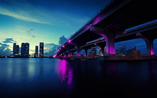 gray concrete bridge, city, urban, bridge, Miami HD wallpaper