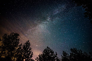 bottom view photo of stars, stars, silhouette, sky