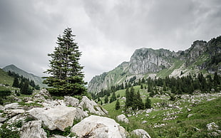 mountain landscape, landscape, nature