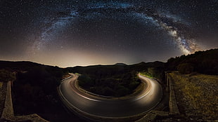 gray road between trees, nature, landscape, starry night, road