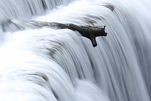 timelapse photography of log near waterfalls HD wallpaper