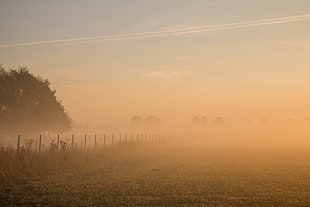 photography of green grass field