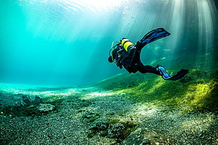 pair of blue fins, Grüner See, underwater, lake, divers HD wallpaper